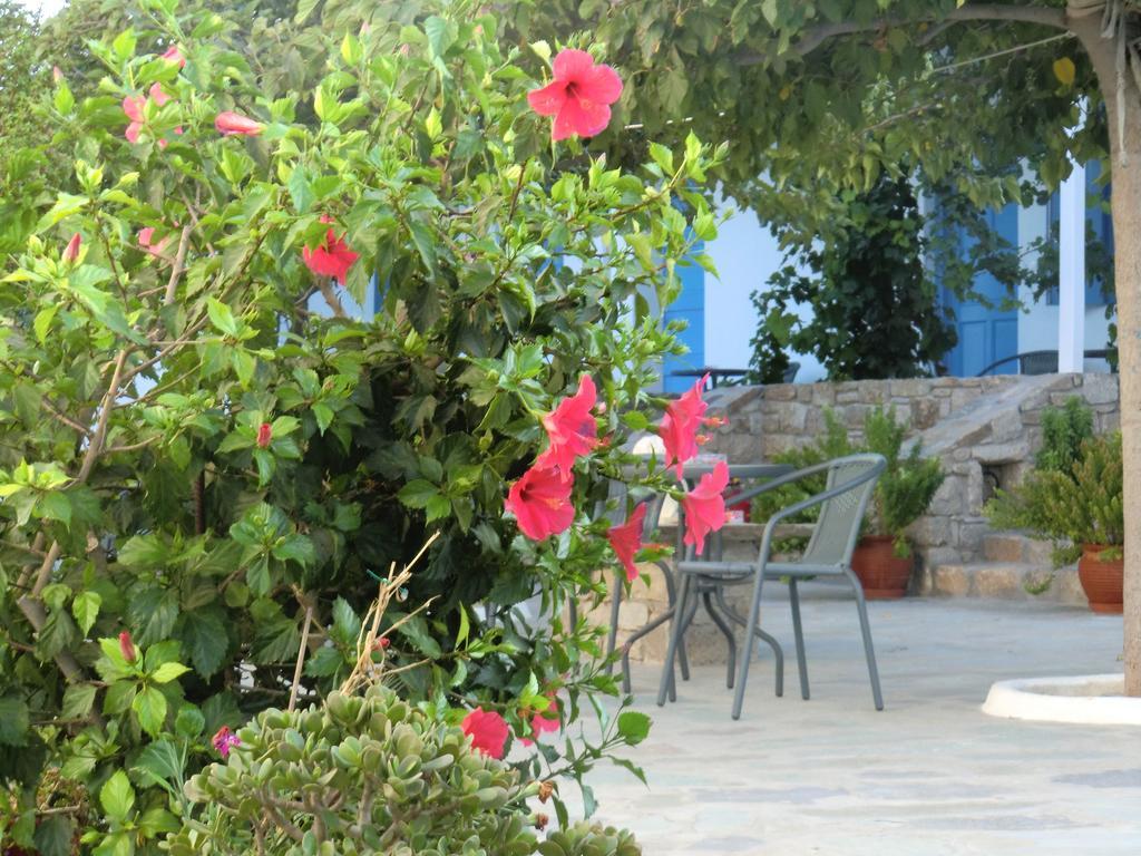 Mykonos Vouniotis Rooms Mykonos Town Eksteriør bilde